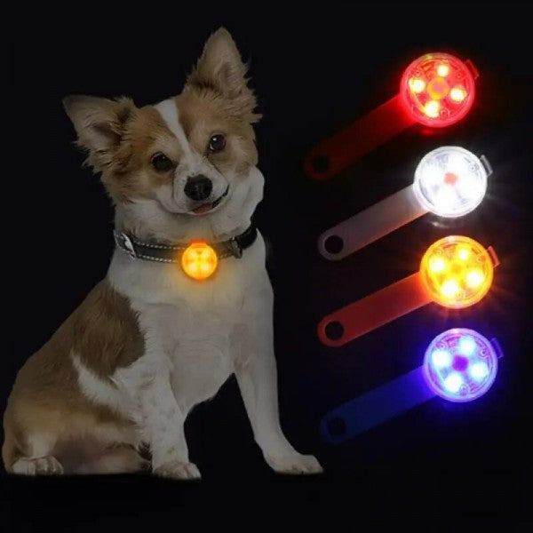 Luz de Segurança para Coleira de Cão