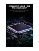 Microfone Karaoke Sem Fios com Coluna