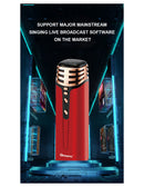 Microfone Karaoke Sem Fios com Coluna